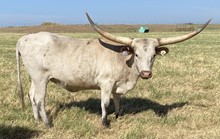 Pacific Rita