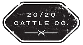 20/20 Cattle Co logo